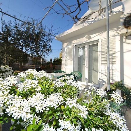Apartman Antonio Zadar Ngoại thất bức ảnh